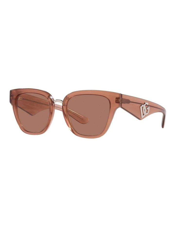 DG4437 Sunglasses in Brown