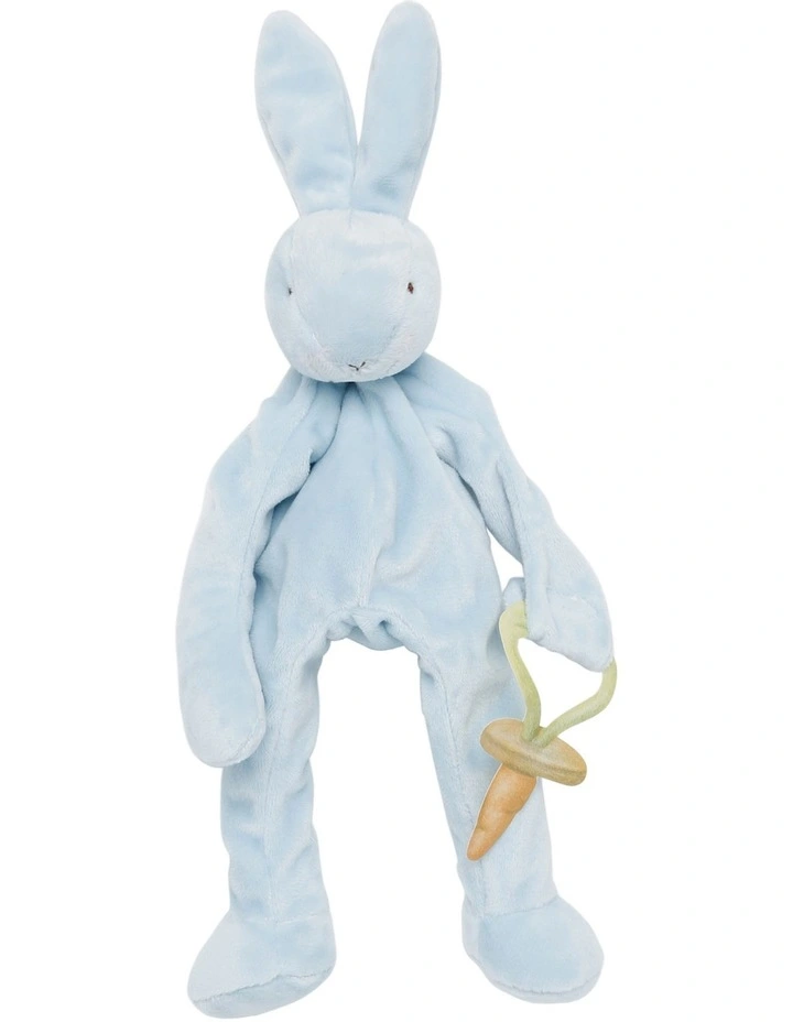 Silly Buddy Pacifier Holder Toy