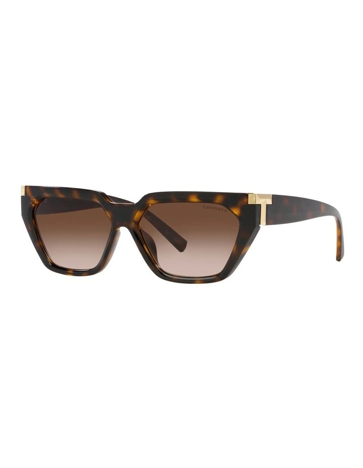 TF4205U Sunglasses in Tortoise