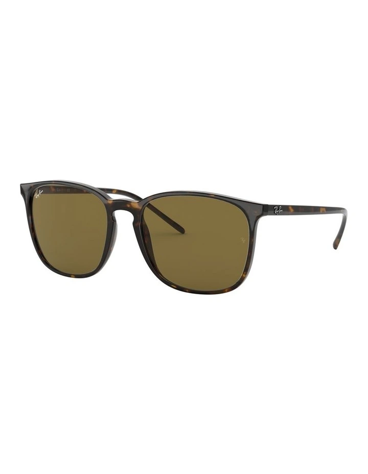 Brown RB4387F Sunglasses