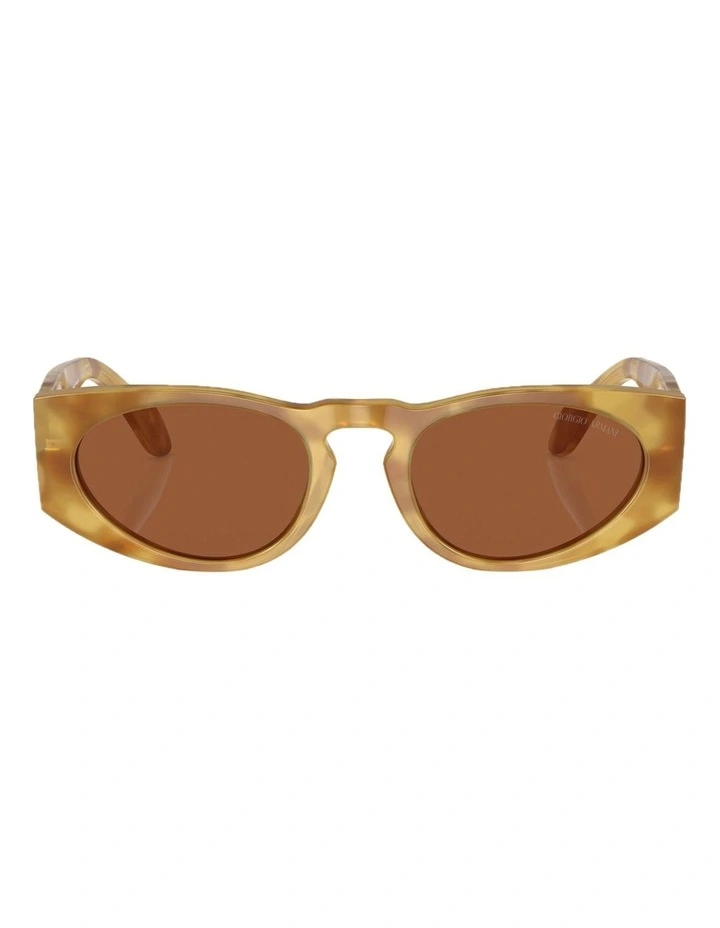 AR8216 Sunglasses in Brown