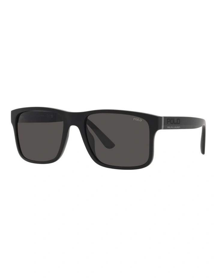 PH4195U Sunglasses in Black