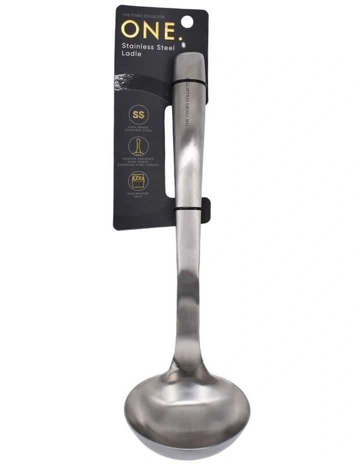 One Ladle in Stainless Steel