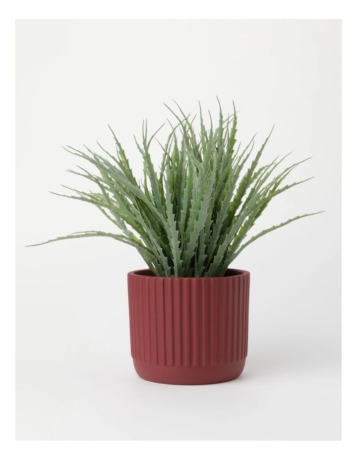 Aloe Succulent Plant 36x36x33cm in Green
