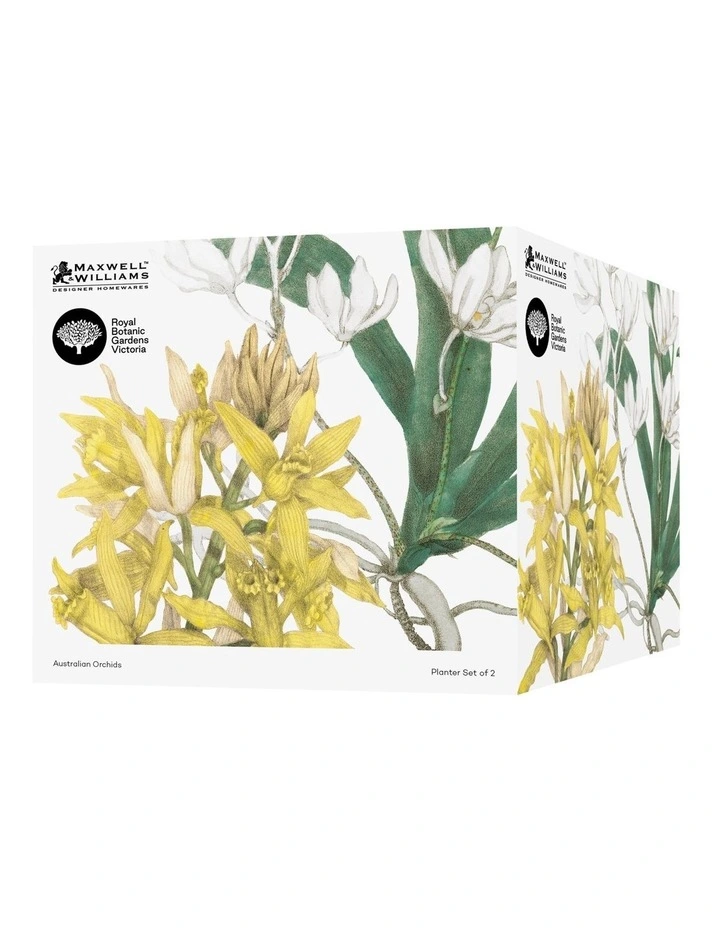 Australian Orchids Gift Boxed Planter Set of 2 in Yellow/White
