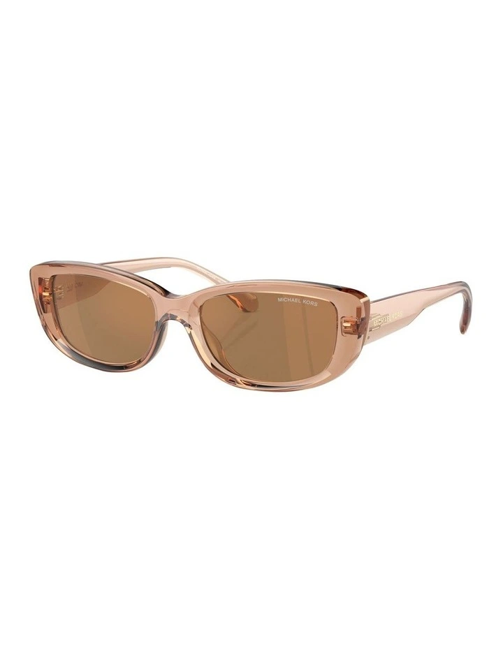 Asheville Sunglasses in Brown