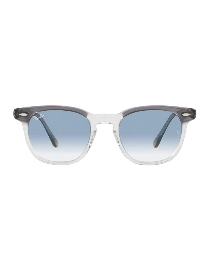 Hawkeye Grey Sunglasses