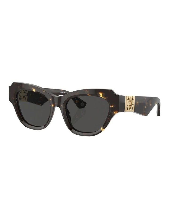 BE4423 Sunglasses in Brown