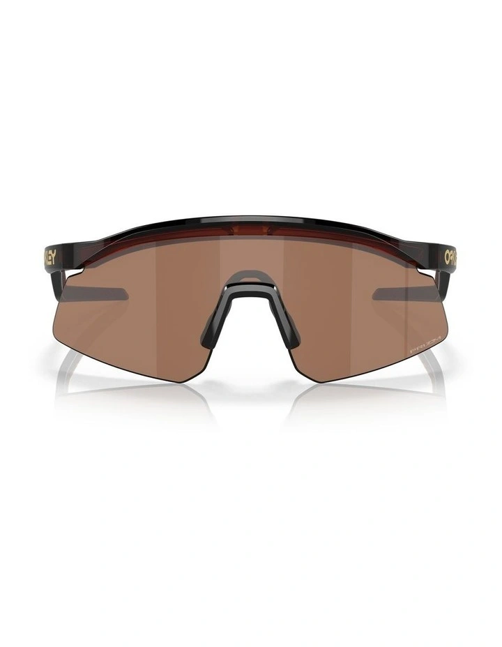 Hydra Sunglasses in Rootbeer