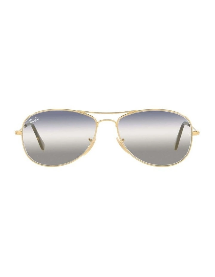 Cockpit Bi-Gradient Gold RB3362 Sunglasses