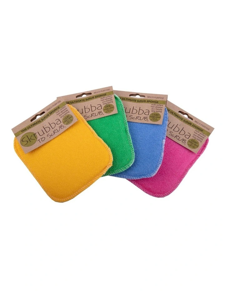 Sponge 4 Pack 12x16.5cm in Multi