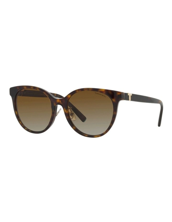 TF4209D Polarised Sunglasses in Tortoise