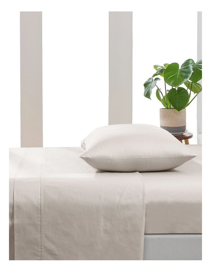 500TC Cotton Sateen Flat Sheet in Stone