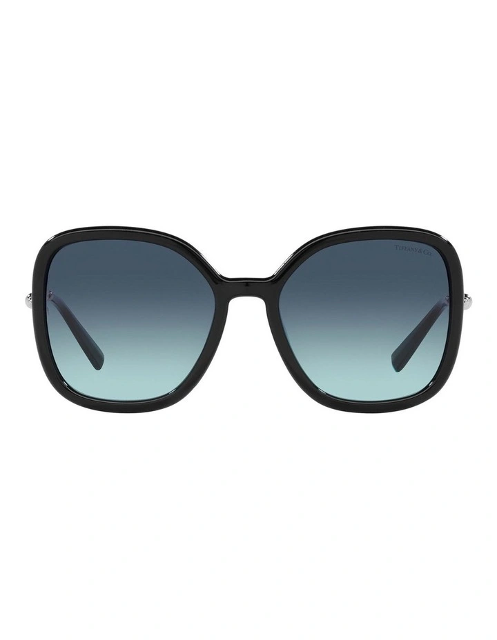 TF4202U Sunglasses in Black