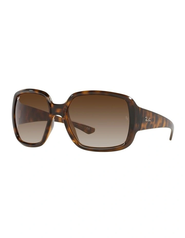 RB4347 Brown Sunglasses