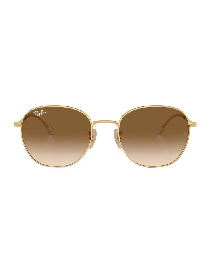 RB3809 Sunglasses in Gold