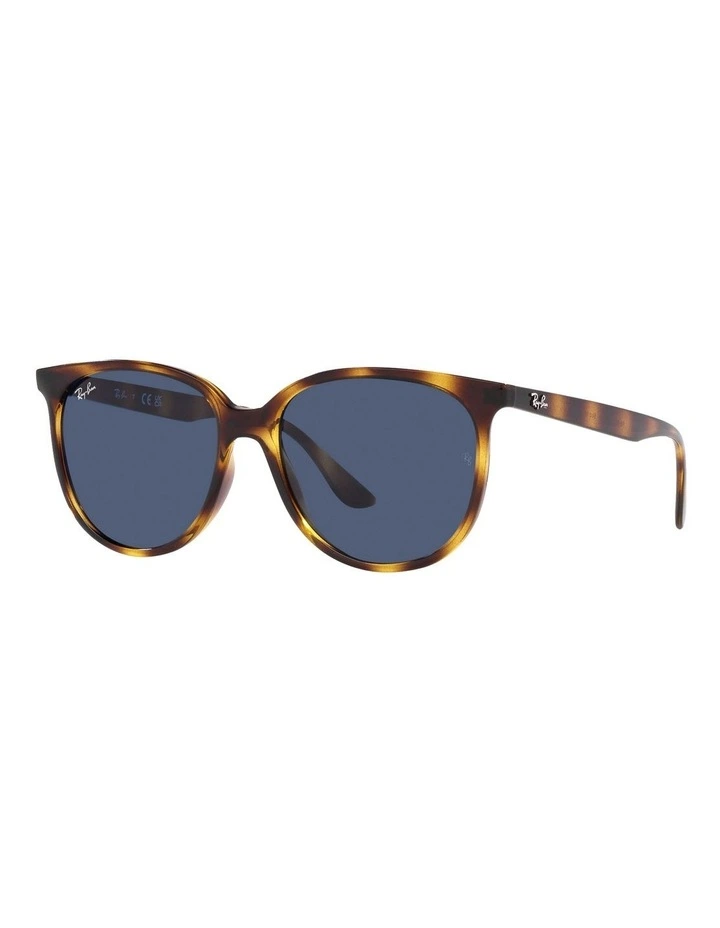 RB4378 Tortoise Sunglasses in Brown