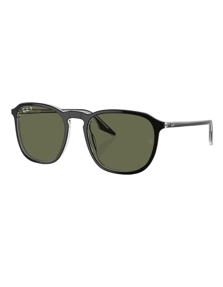 Polarised RB2203 Sunglasses in Black