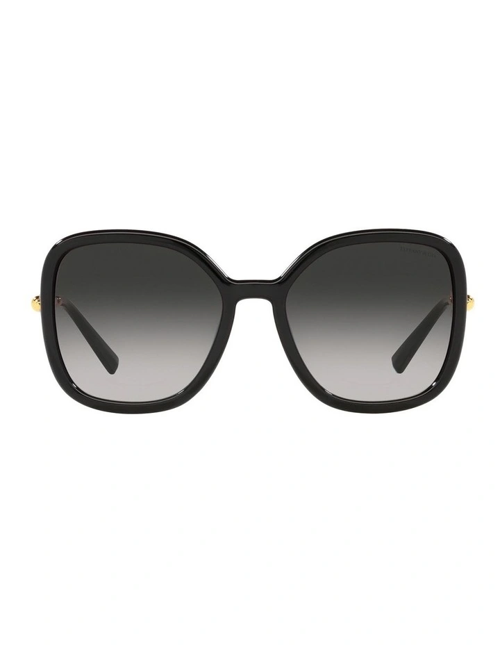 TF4202U Sunglasses in Black