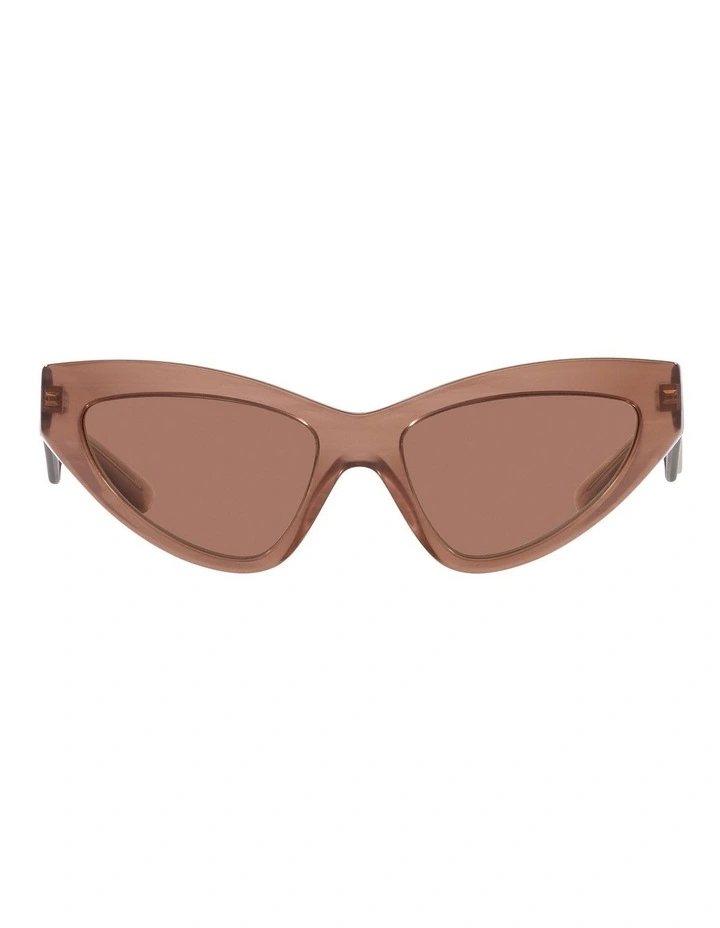 DG4439 Sunglasses in Brown