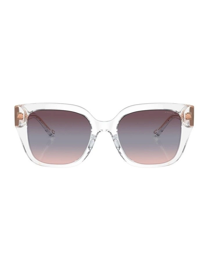 CR611 Sunglasses in Transparent