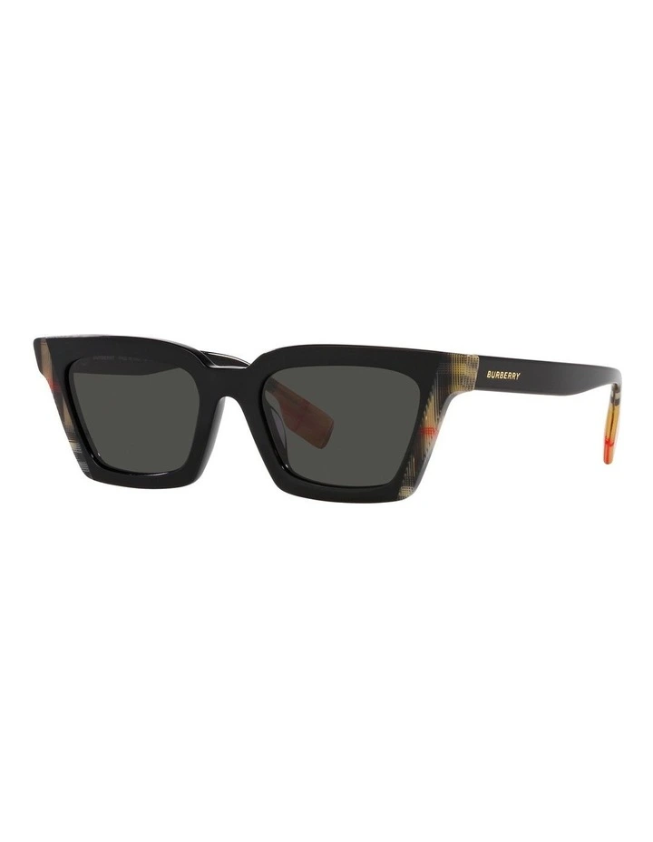 Briar Sunglasses in Black