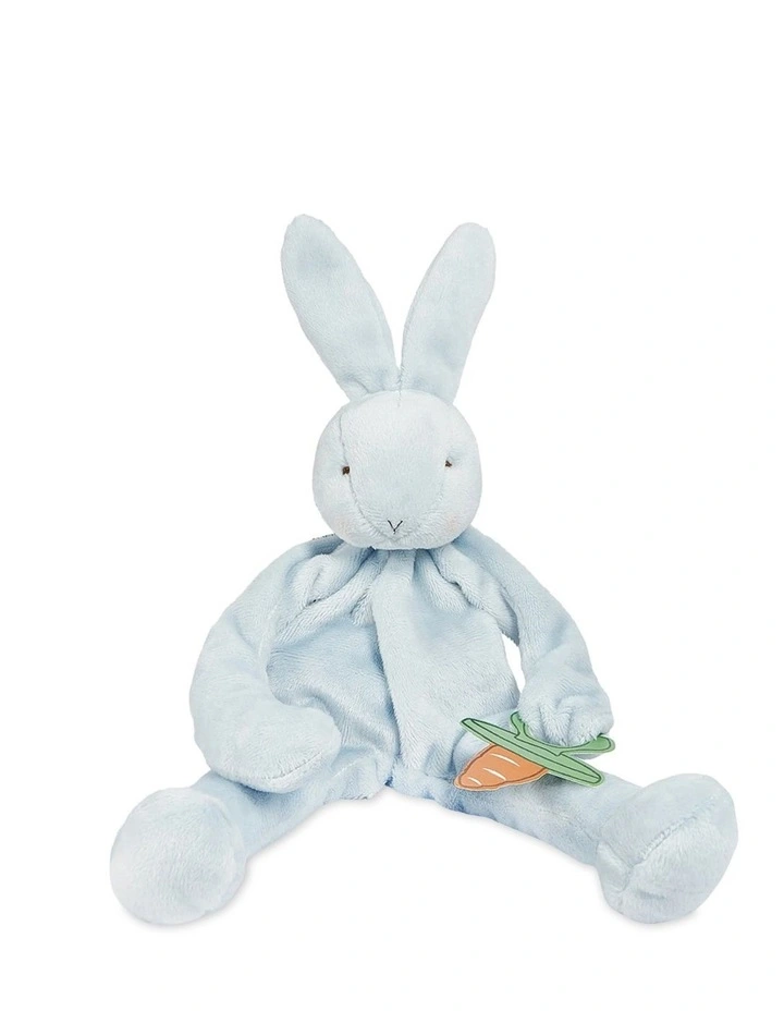 Silly Buddy Pacifier Holder Toy