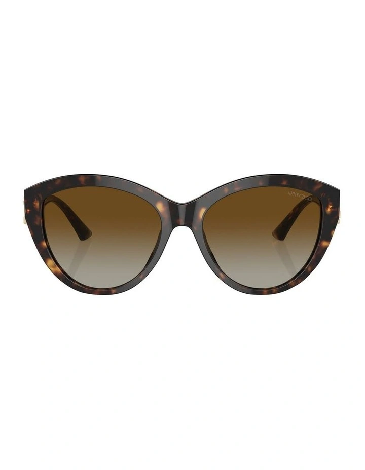 JC5007 Polarised Sunglasses in Tortoise