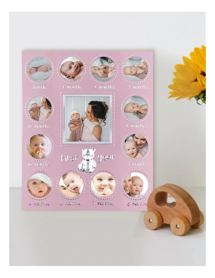 My First Year Metal Baby Frame 13 Photos in Pink