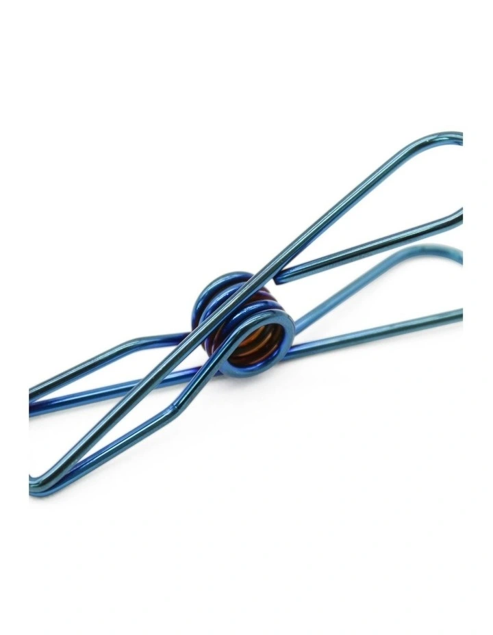 Large Stainless Steel Pegs 40 Pack in Blue