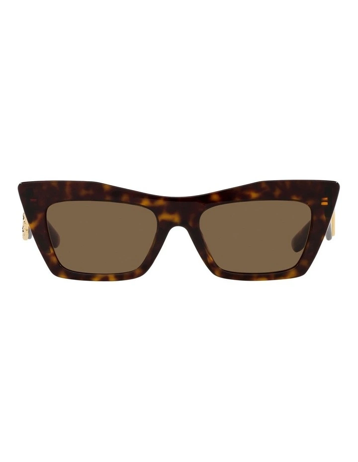 DG4435 Tortoise Sunglasses in Brown