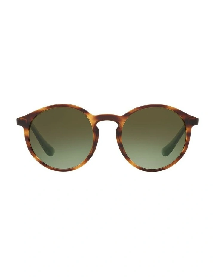 HU2019 Brown Sunglasses