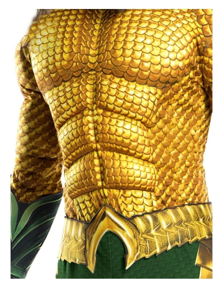 Aquaman Deluxe Dress Up Costume in Two Tone
