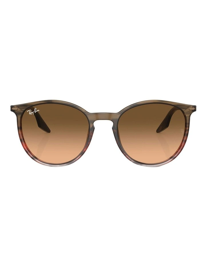 RB2204 Sunglasses in Brown