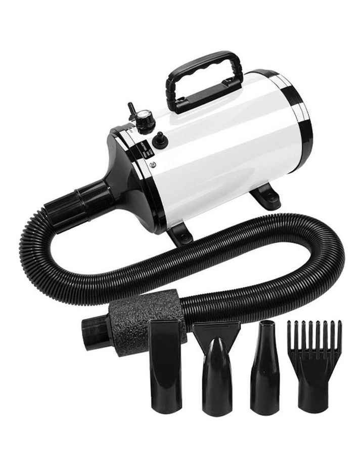 Pet Hair Dryer Advance in White