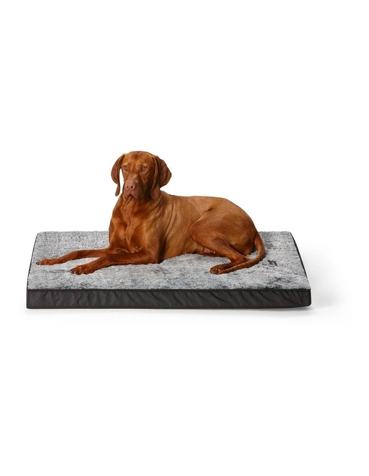 Orthobed Indoor/Outdoor in Grey