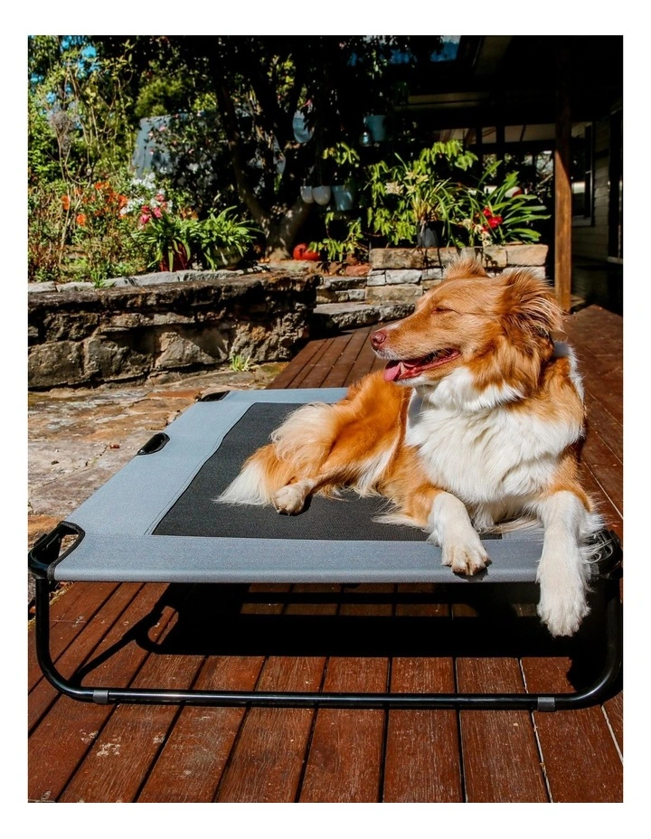 Adventure Foldable Travel Trampoline Dog Bed in Grey