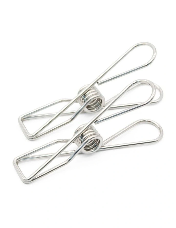 Large Stainless Steel Pegs 40 Pack in Silver