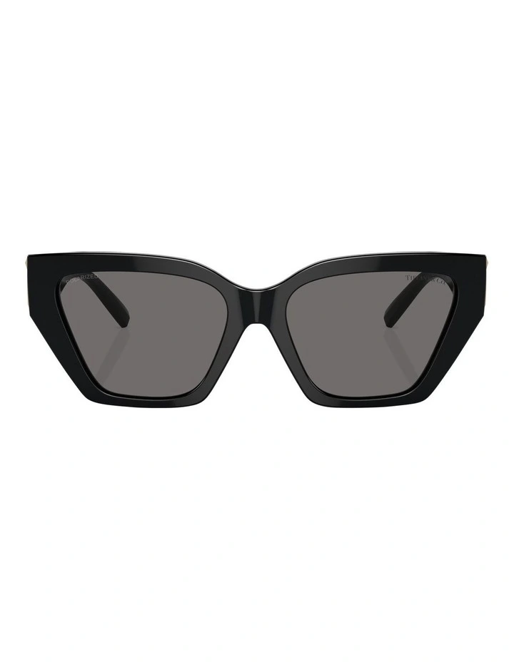 TF4218 Polarised Sunglasses in Black
