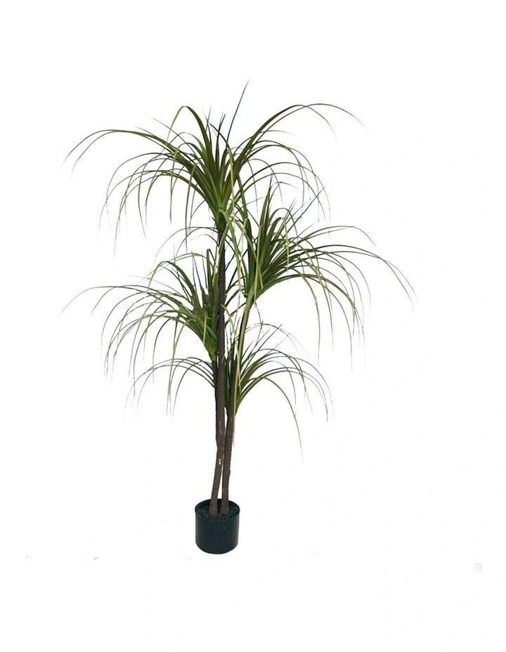 Potted Dragon Blood Artificial Plant 150cm in Assorted