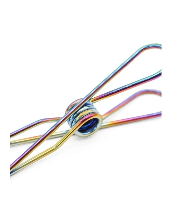 Small & Large Stainless Steel Pegs 40 Pack in Rainbow
