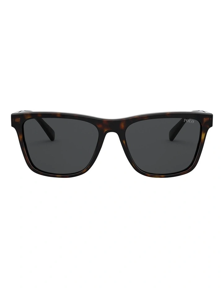 Color Shop Square Sunglasses in Brown
