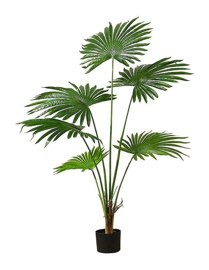 Artificial Fan Palm Tree 120cm in Assorted