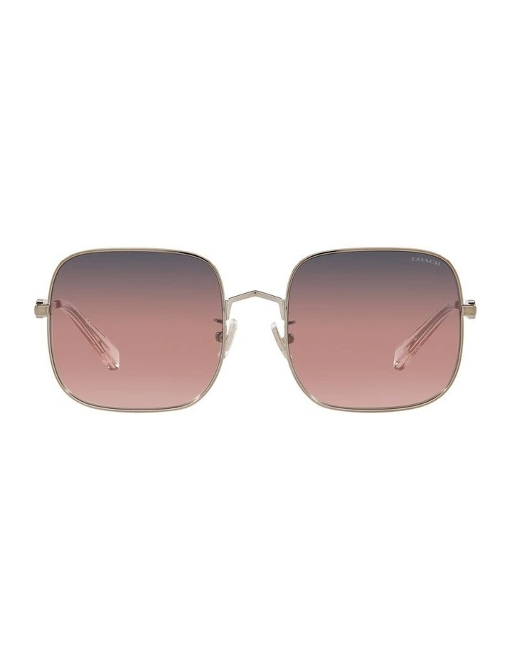 HC7120 L1169 Gold Sunglasses