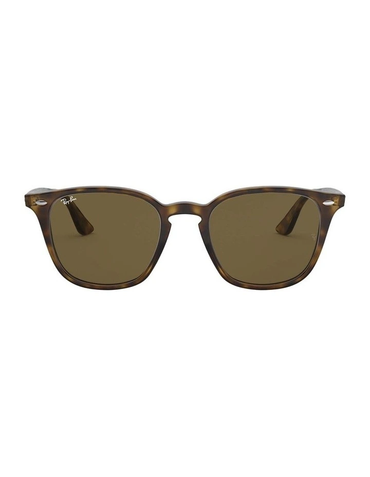 RB4258 Brown Sunglasses