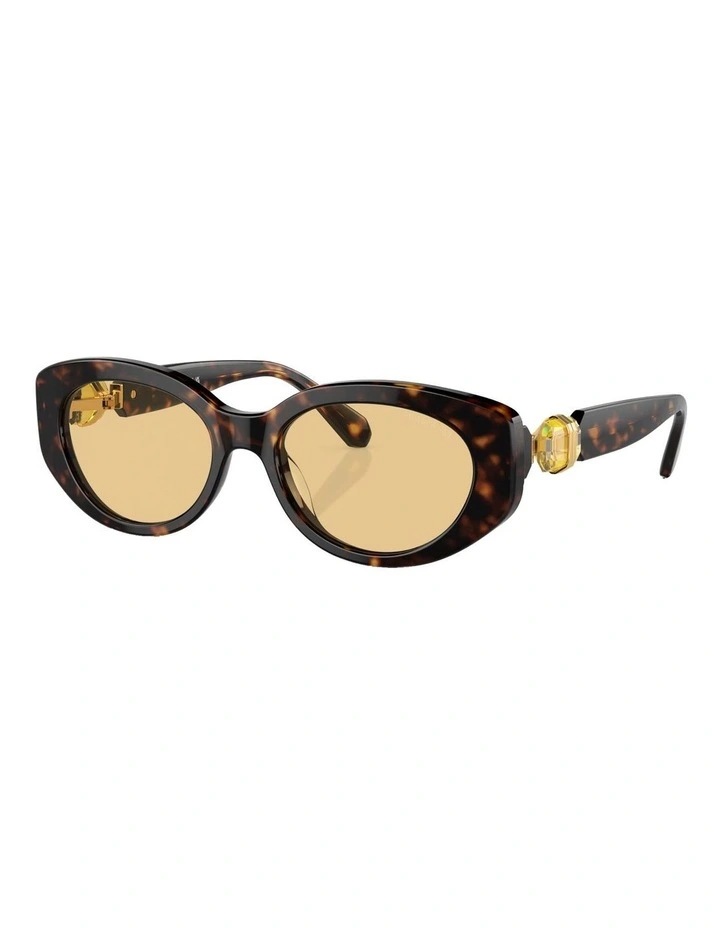 SK6002 Sunglasses in Brown