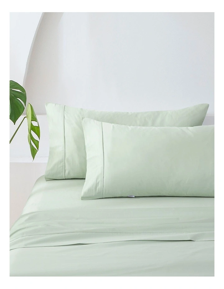 500TC Cotton Sateen Standard Pillowcase (Twin Pack) in Sage