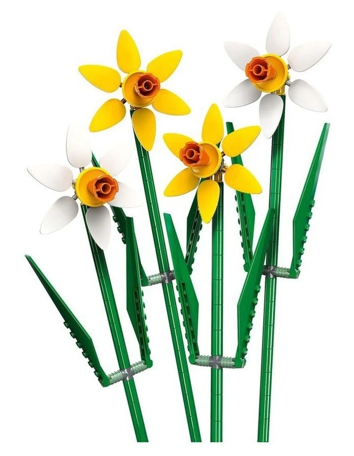 Iconic Daffodils 40747