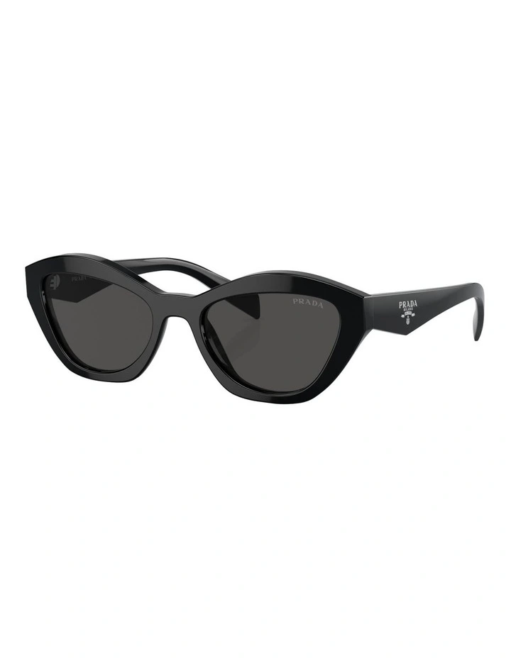PR A02S Sunglasses in Black