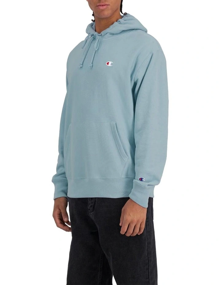 Reverse Weave French Terry Hoodie in Sage Shimmer Green